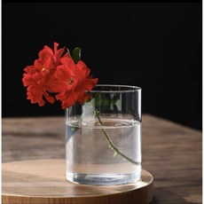 直筒高硼硅玻璃花瓶 透明水養擺件, 直徑10高度10釐米, 透明