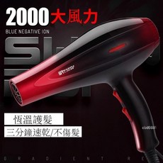 大功率 大風量 負離子吹風機 藍光護髮 輕量化吹風機, 漸變紫