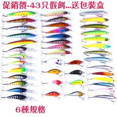 廣隆 路亞餌 6種規格 EBAY魚餌 釣魚 小魚, 1個