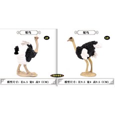 SPG 隨草憶境 (2款高品質畫工)仿真非洲鴕鳥模型,兒童益智玩具,野生動物模型公仔, 1個, 一組2款入(全套a+b款,★促銷★)