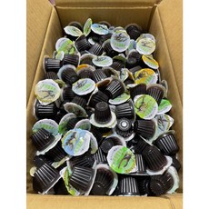 【蟲蟲底家】高蛋白果凍(多種口味) 17g/顆 小動物/昆蟲/甲蟲/倉鼠/蜜袋鼯適用 昆蟲飼育用品專賣店, 1個, 黑糖香蕉,30顆(510g)