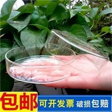 玻璃耐高溫培養皿 附蓋 細胞細菌培養用, 耐高溫培養皿60mm, 1個
