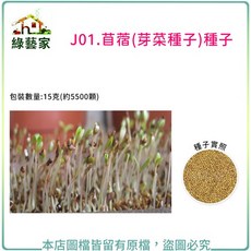 綠藝家 苜蓿芽種子 (芽菜種子) 15克 (約5500顆), 1個