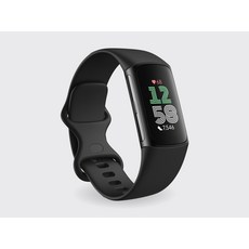 Fitbit Charge 6 運動手錶, 黑色, 1個