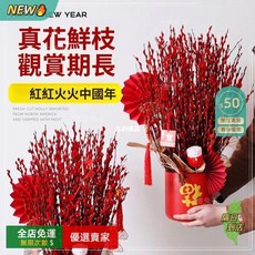 A14 銀柳真花鮮枝幹花擺件,新年招財年宵花,乾花,室內水培綠植物,春節家居裝飾, 買銀柳等銀留 【下單送兩個喜慶小燈籠】,【較少人選擇購買量少顯小氣四十釐米十支】