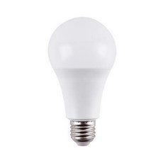 亮博士 LED 節能燈泡 E27接頭 10W/13W, 1個, 台灣亮博士10W LED(自然光), 自然光, 10W LED