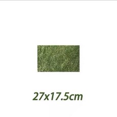 仿真苔蘚地毯 爬蟲飼養箱底材 莫斯地毯, 1個, 27*17.5釐米, N/A