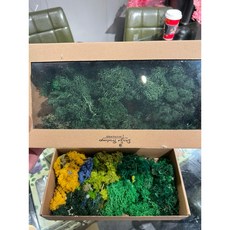 造景標本製作材料包:專業草粉、永生花、苔蘚、落葉、樹枝、各式花草、土壤砂石,微景觀DIY首選