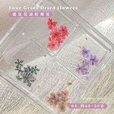 愛美佳 盛夏花語 4格乾燥花 美甲 日系美甲乾花 混色乾花美甲裝飾 DIY飾品, 04
