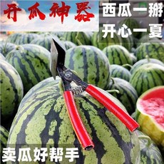 304不鏽鋼西瓜取芯器, 1個, 西瓜分割器紅柄加厚耐用十年工廠直銷