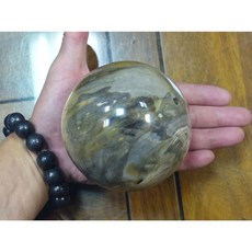 能量礦石 印尼矽化木 木化石球1348g 直徑101mm 寵物擺飾, 1個