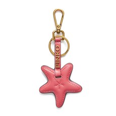 핀코 스타 키링