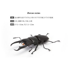 $uper Toys 昆蟲 模型, 1個, 04