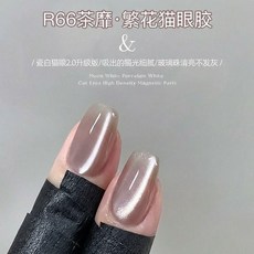 ROULTA 春日繁花貓眼指甲油膠, R66茶蘼, 1個