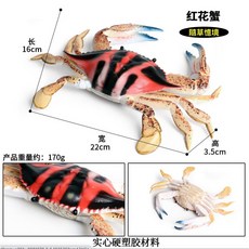 SPG 隨草憶境 大號節肢動物螃蟹模型,仿真三點蟹梭子蟹花蟹,海洋野生動物模型玩具, 1個, 紅黑款