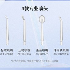 太空艙智能電動沖牙機 三大模式 四款噴頭 全機防水 USB充電 牙套清洗 牙周護理, 【加購】專用噴頭(4支一組)