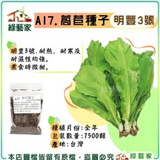 綠藝家 A17. 萵苣種子 (明豐3號) 耐熱耐寒耐濕,煮食微甜, 1個