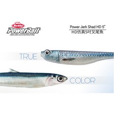 Berkley PowerBait PowerJerk Shad 5吋 仿真叉尾魚 HD軟蟲 路亞軟魚, 1個, 鱒魚色
