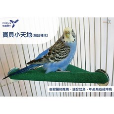 金瑞成鳥園 寶貝小天地 具有磨趾、休息功效 適合殘障鳥、小型鸚鵡、蜜袋鼯、鼠, 1個, 大尺寸