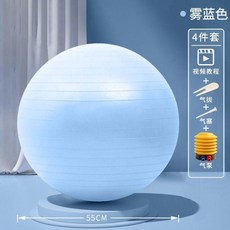 瑜伽球 按摩加厚防爆成人健身球 55CM, 1個, 全新馬卡龍藍色 加厚防爆 可用拾年,五十五CM 建議身高一米五到一米六, 馬卡龍藍色, 55cm