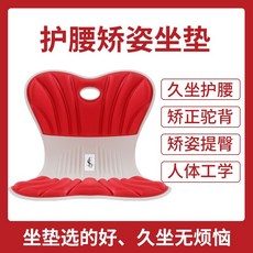 思貝其 護腰矯姿坐墊 人體工學設計 久坐護腰矯正駝背 透氣舒適 辦公居家適用 中國紅