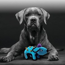 GiGwi 狗狗耐咬玩具, 1個, 浣熊橘