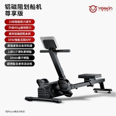 YERKIN 鋁磁阻划船機 尊享版, 1個, 【尊享豪华款】高强铝合金材质+智联APP