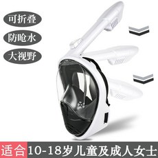 深海魚 IREX 全乾式潛水面罩,防霧防水大視野浮潛面鏡, 黑白