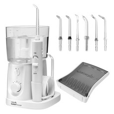 Waterpik WP-320 Nano Plus 沖牙機 6噴頭 1年保固 WP320, 1個, 標配6噴頭組-噴頭密封袋包裝-送收納盒