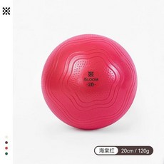 BLOOM 普拉提小球 加厚防爆瑜伽球, 3.0升級版自封口 海棠紅20cm,自帶氣筒 l 不用氣塞, 1個
