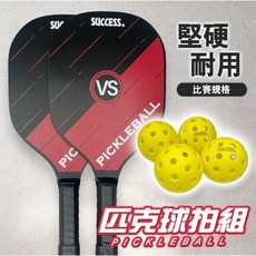 【成功SUCCESS】(入門款) 拍2支 球4顆 附拍套 #S2901, 1個