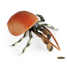 SPG 隨草憶境 高品質仿真寄居蟹模型 螃蟹 貝殼蟹 海底生物 動物模型 兒童玩具 公仔, 1個, 單入(橘殼綠身, 10cm)