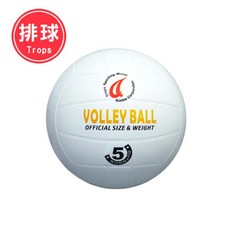 成功 一般排球 4035 耐磨材質 飛行穩定 室內外適用, 1個