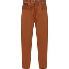 아미쉬 제레미아 진