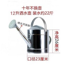 【開發票/統編】純手工鍍鋅不鏽鐵皮 農用澆菜水桶 防鏽鍍鋅設計, 1個, 12升灑水壺+噴頭, N/A