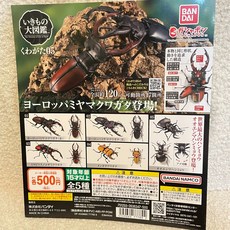 BANDAI 生物大圖鑑 鍬形蟲05 歐洲大锹形蟲模型, 1個, 2.