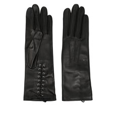 아넬 클라라 장갑