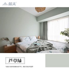 藍天 莫蘭迪色系 水性硅藻泥牆面漆 高級質感室內DIY塗料 環保無毒防霉, 3124蘆草綠,1kg, 1個, 1kg