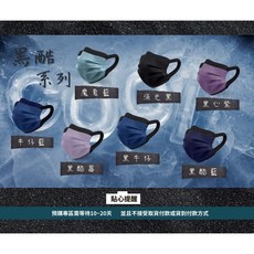 Z折 3D立體 兩段式 可調整 耳掛 醫療口罩 隨身袋裝 盒裝 台灣製, 1個, 10入試用,請搜尋賣場【冠廷】