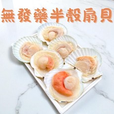 萬楅水產 無發藥半殼扇貝, 1個, 8~9公分 6入