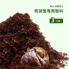 椰纖土 爬蟲專用墊料, 1個, 升級款+免浸泡+1500g椰土,【爬蟲专用椰土】, N/A