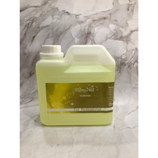 Bling Nail 1000ml賣場 清香潔淨 UV凝膠清潔劑 卸甲液 葛珞莉Gloria Nail, 1個, 卸甲液1000ml