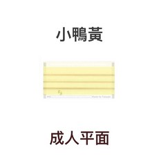 浤溢 MIT台灣製 醫療用口罩 成人平面口罩 - 墨軍綠, 1個, 成人平面【小鴨黃】
