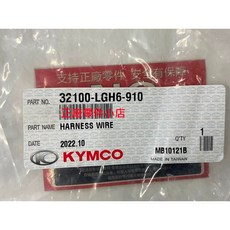 光陽正廠 雷霆 RACING LGH6 電路主配線 噴射版, 1個
