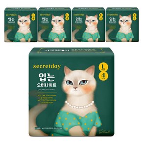 입는 오버나이트 팬티형, 대형, 4개입, 5개