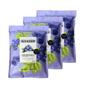 웰루츠 A등급 냉동 블루베리 칠레산, 3개, 1kg