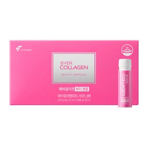 에버콜라겐 뷰티 앰플 콜라겐, 280ml, 1개