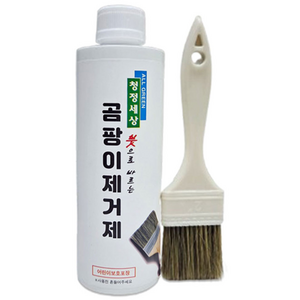 붓으로바르는 청정세상 곰팡이제거제500g(붓포함), 500g, 1개