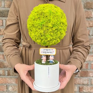 플라워드림 35cm 대형 스칸디아모스 토피어리 화분, 1개, 스프링그린