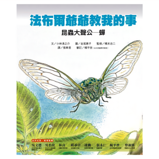 遠流 法布爾爺爺教我的事:昆蟲大聲公-蟬, 小小科學家繪本